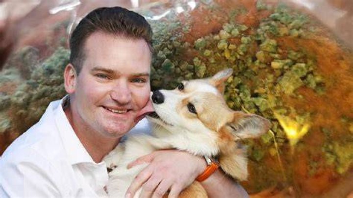 What are dog baiters?