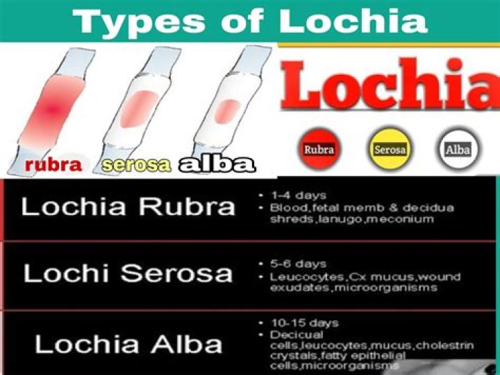 What are the 3 different types of lochia?