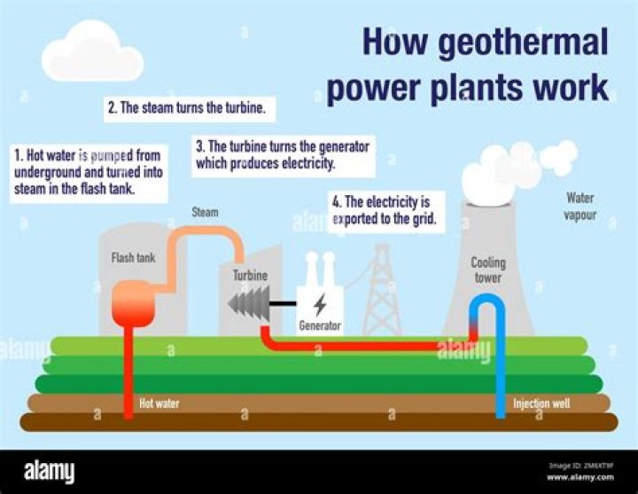 What are utilised for providing energy to the plant?