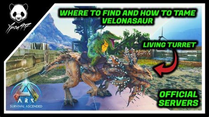 What are velonasaurs good for?