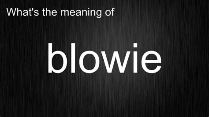 What do blowsy meaning?