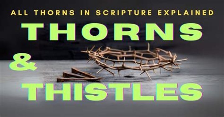 What do thorns and thistles represent in the bible?