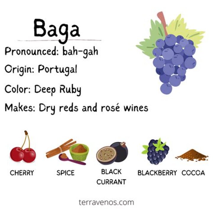 What does baga mean?