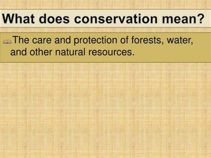 What does conservation mean?
