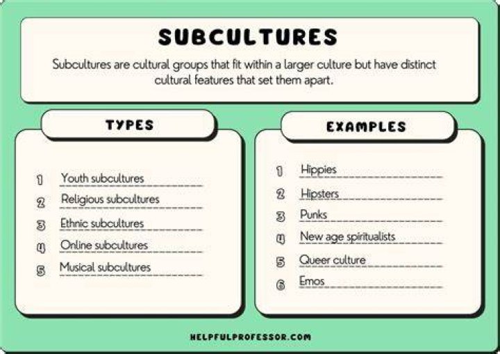What does subculture mean?