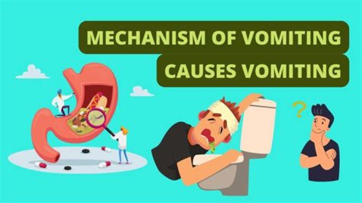 What does vomitories mean?