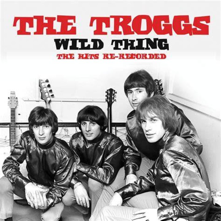 What hits did the troggs have?