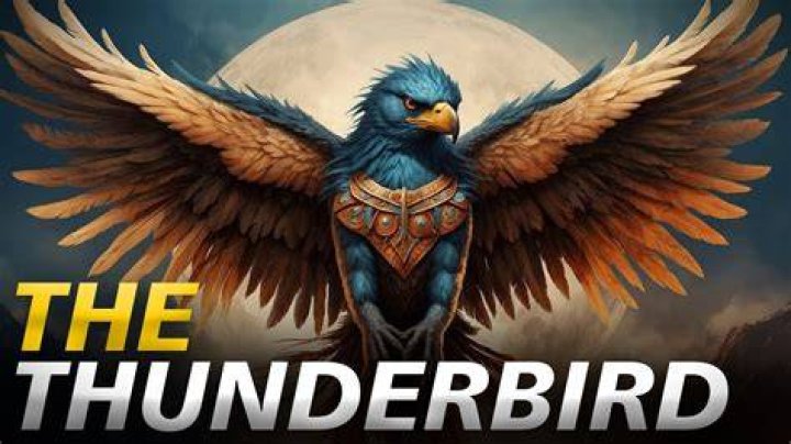 What is a thunderbird bird?