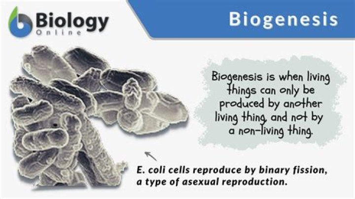 What is biogeny meaning?