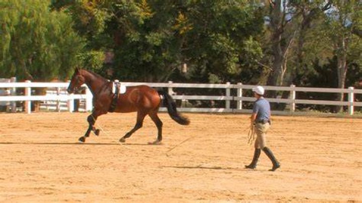 What is cross cantering?