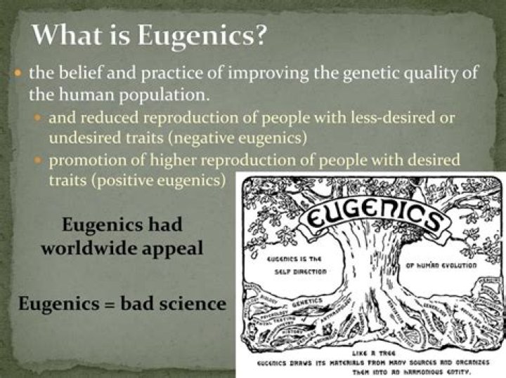 What is eugenics in simple terms?