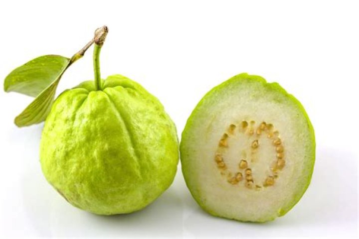 What is google guava?