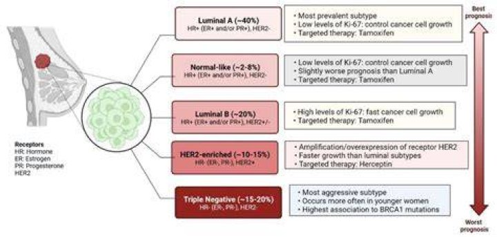 What is meant by hyperphagic?