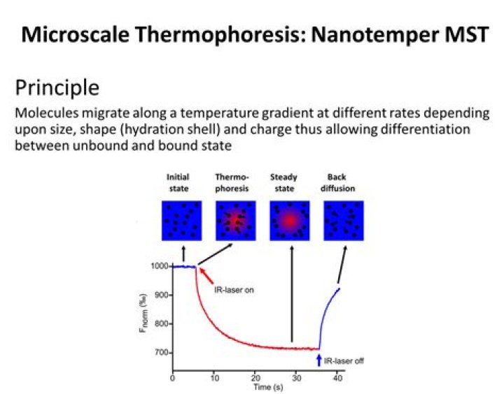 What is microscale thermophoresis?
