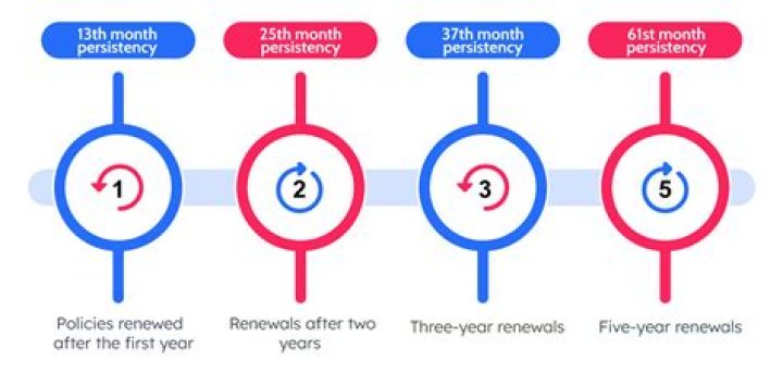 What is persistency risk?