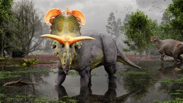 What is roar in dinosaur?