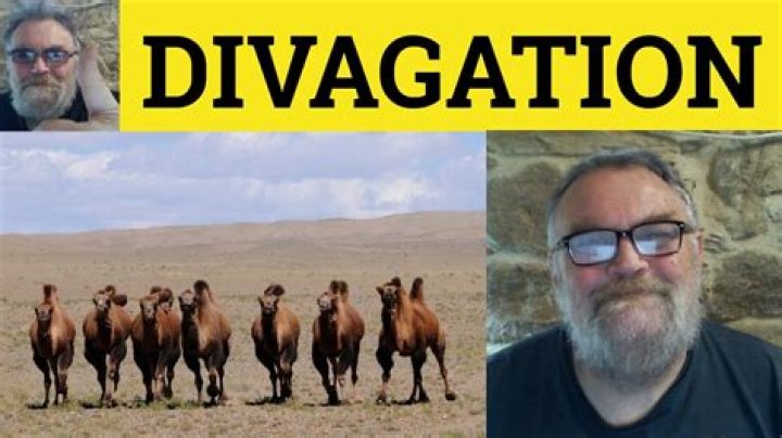 What is the definition of divagate?