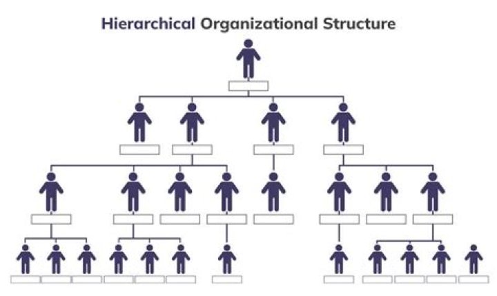 What is the difference between hierarchic and hierarchical?