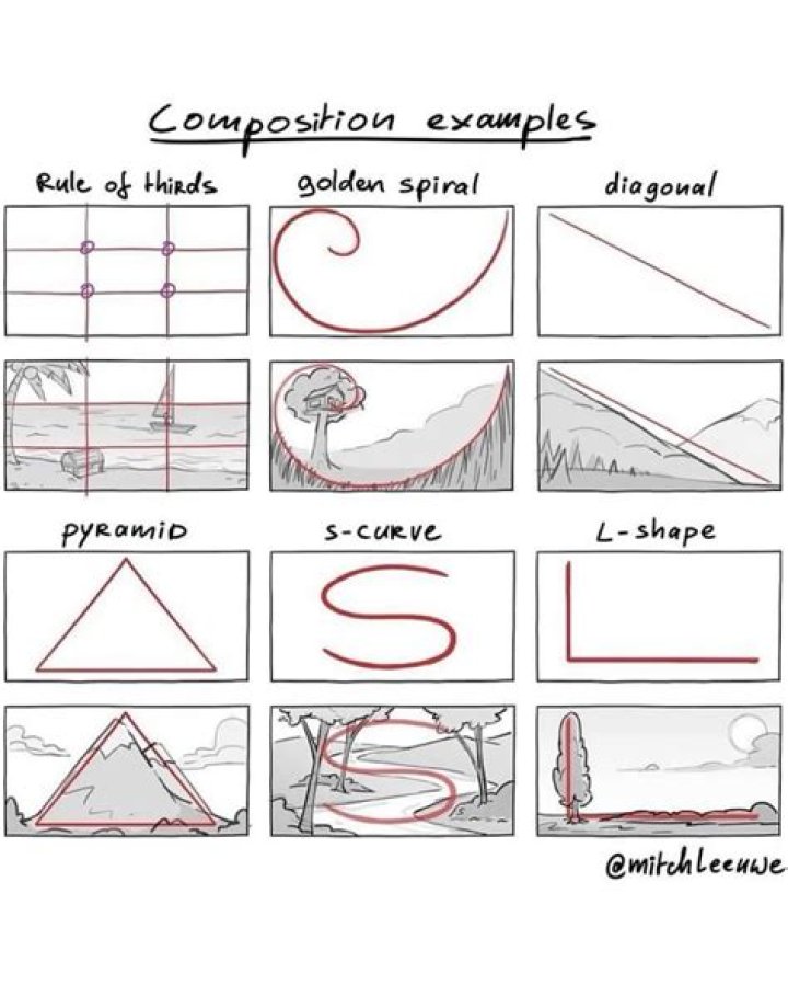 What is the example of s curve?