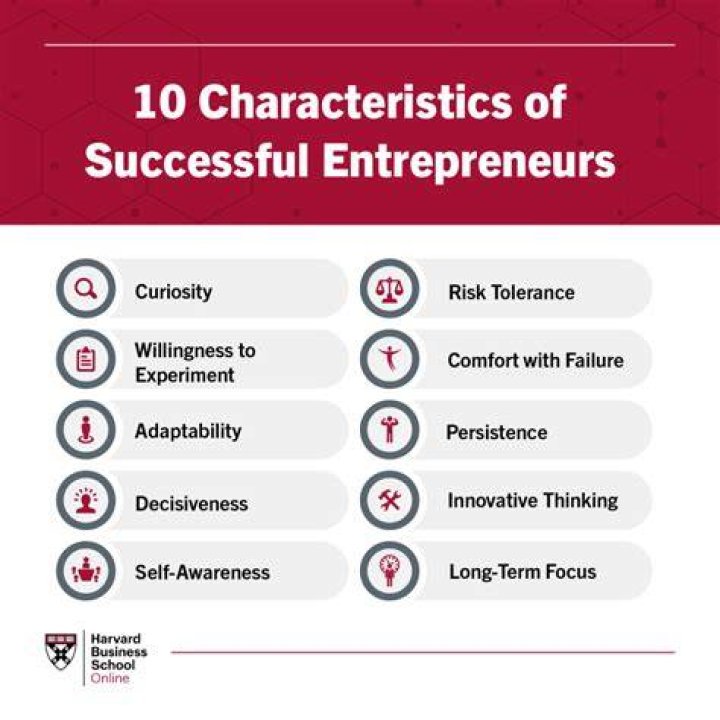 What makes entrepreneur successful?