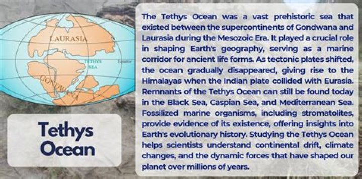 What was the sight of the plateau ruins of the tethys ocean?