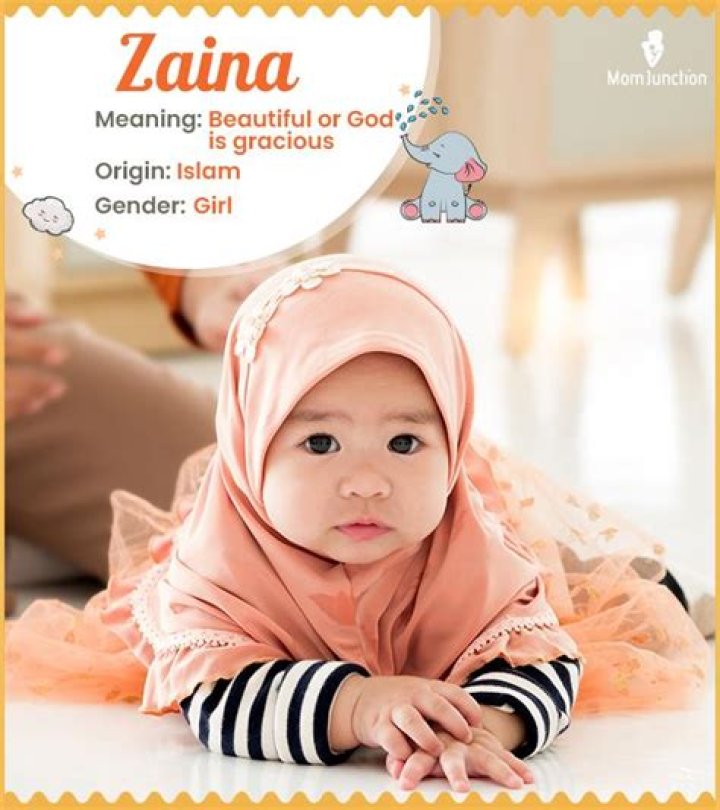 What zaina name meaning?
