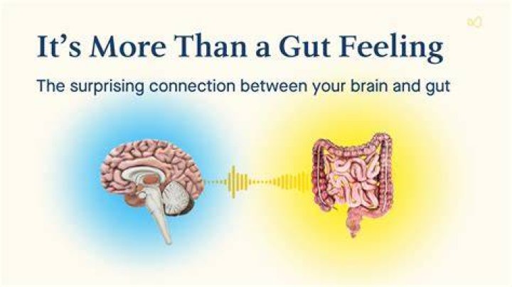 Whats a gut feeling?
