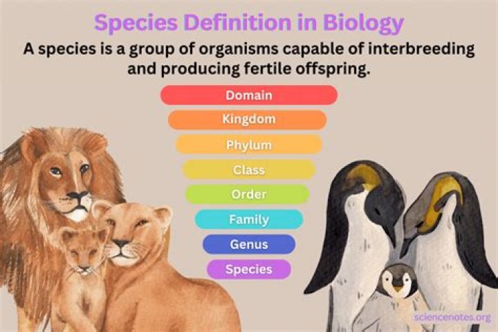 Whats does species mean?