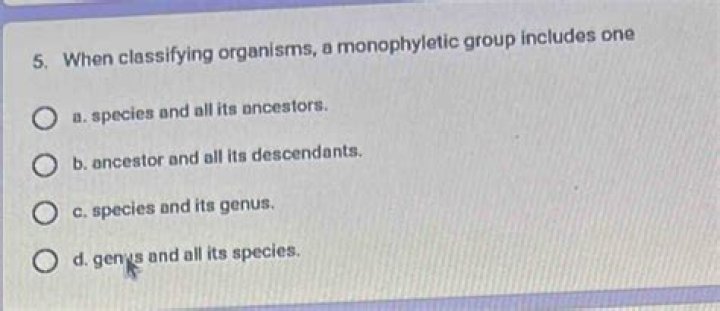 When classifying organisms a monophyletic group?