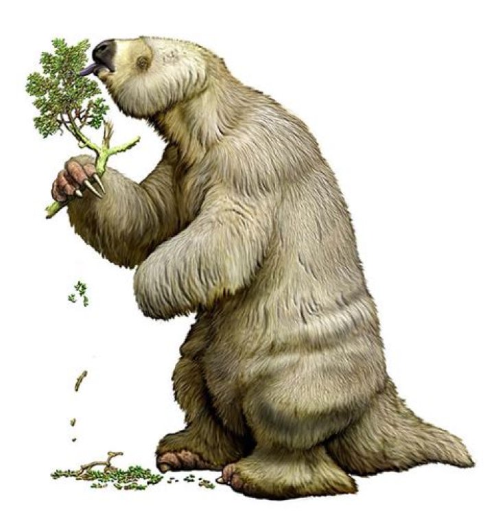 When did megatherium live?