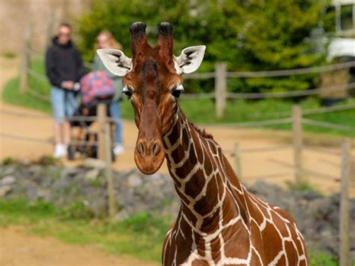 When does bristol zoo close?