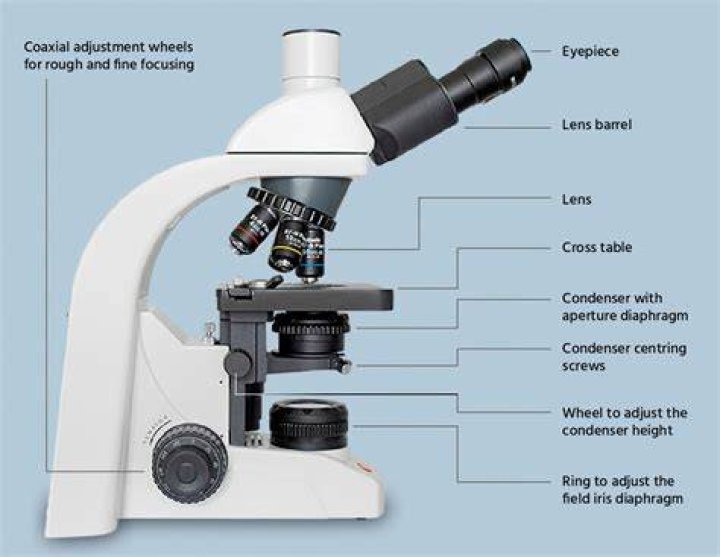 When is a compound microscope said to be parfocal?
