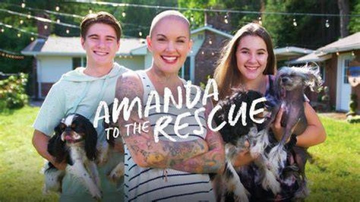 When is amanda to the rescue on?