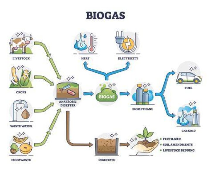 When is bio gas?