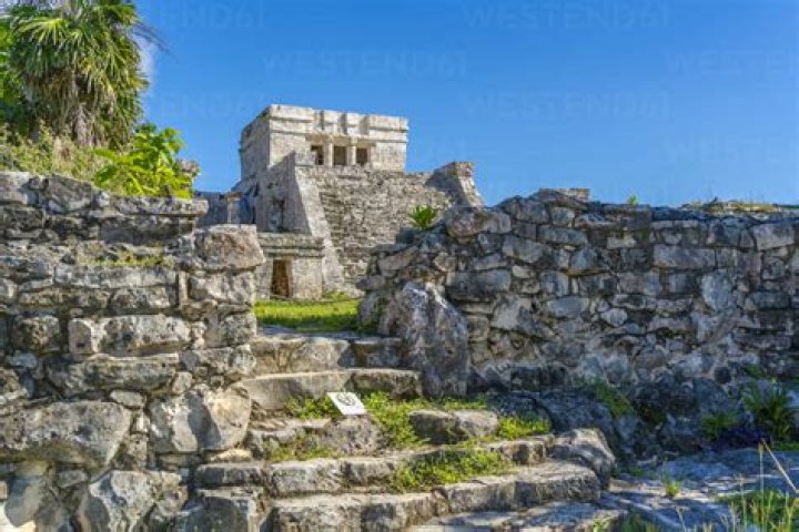 Where are archaeology discovering forgotten mayan ruins?