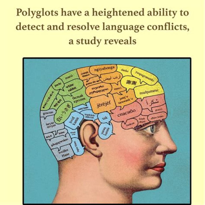 Where can polyglots work?
