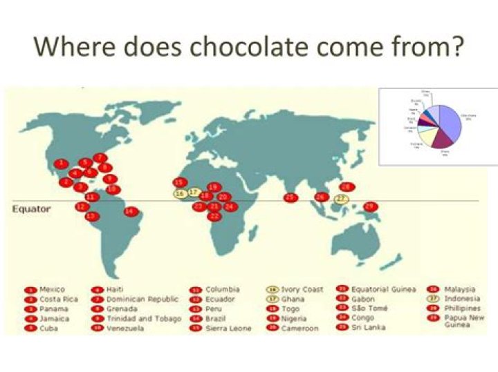 Where chocolates come from?