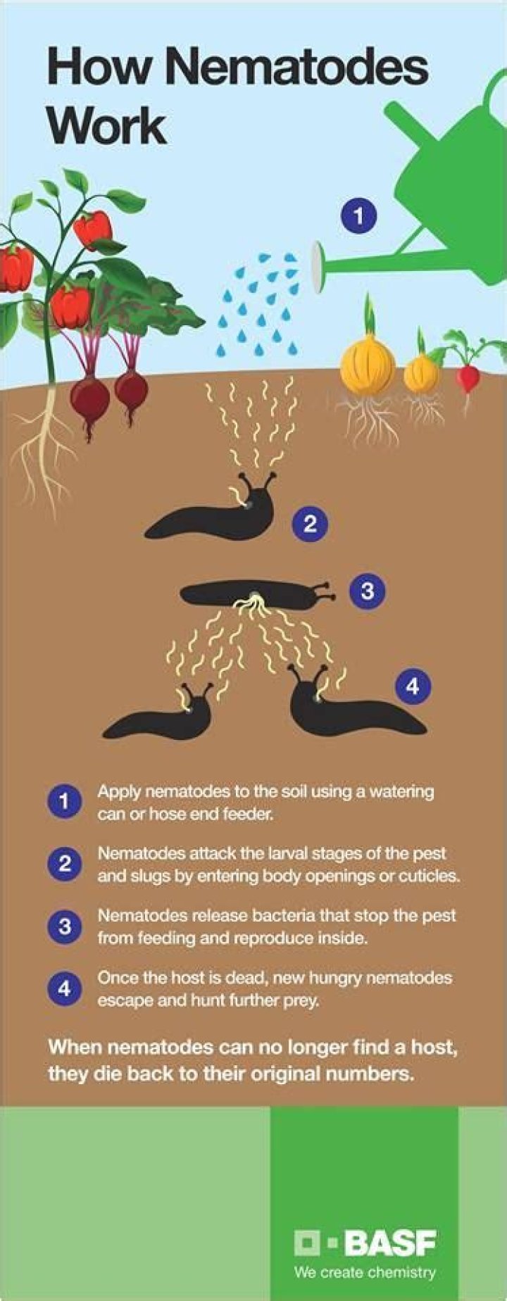 Where do beneficial nematodes come from?