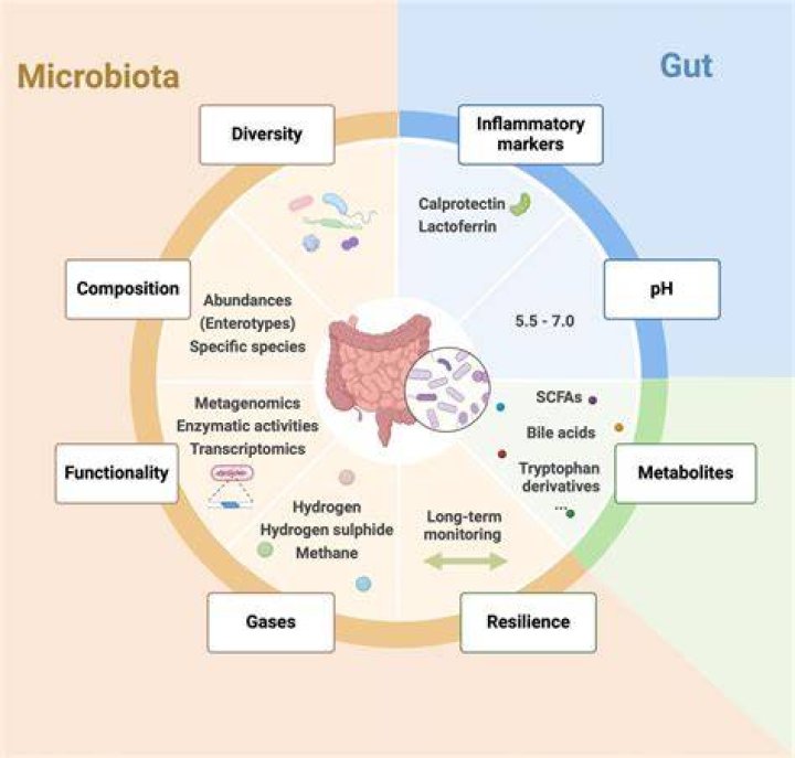 Where does beneficial bacteria come from?