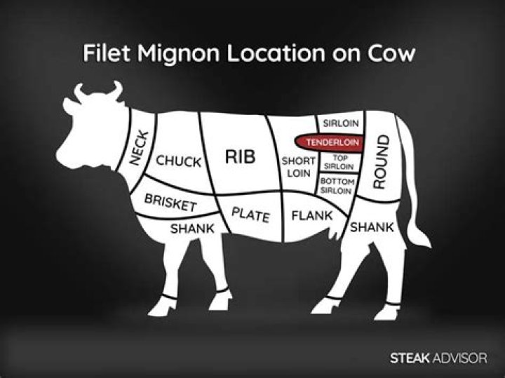 Where does fillet steak come from?