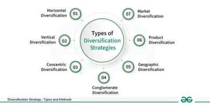Where is diversification strategy?