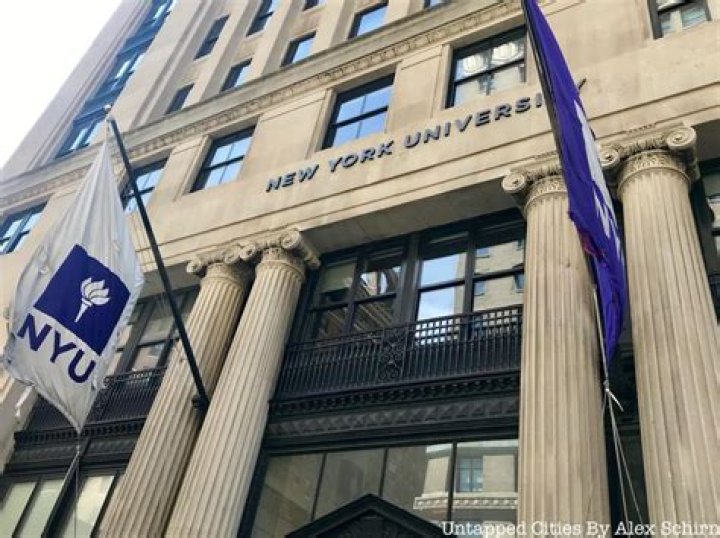 Where is nyu university?