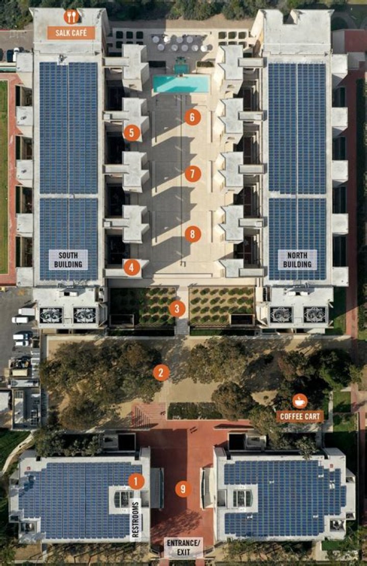 Where is salk institute for biological studies?