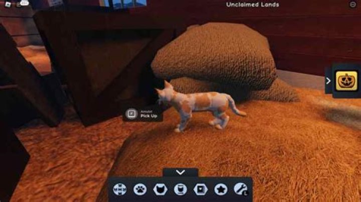 Where to find catmint in warrior cats roblox?