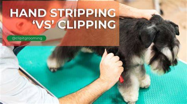 Which dogs need stripping?