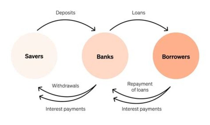 Which facilitate the transfer of funds from savers to the borrowers?
