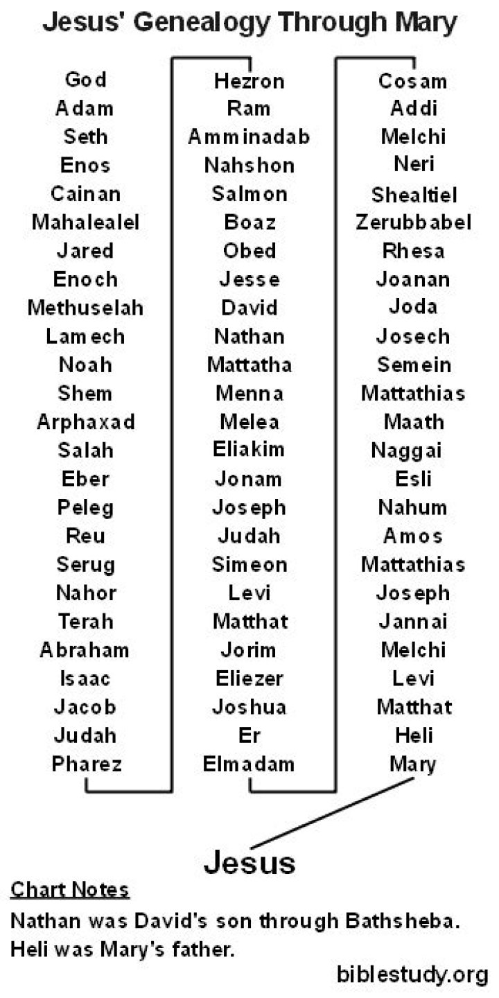 Which genealogy is mary's?