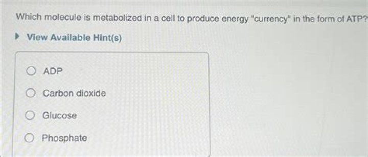 Which molecule is metabolized in a cell to produce energy currency?