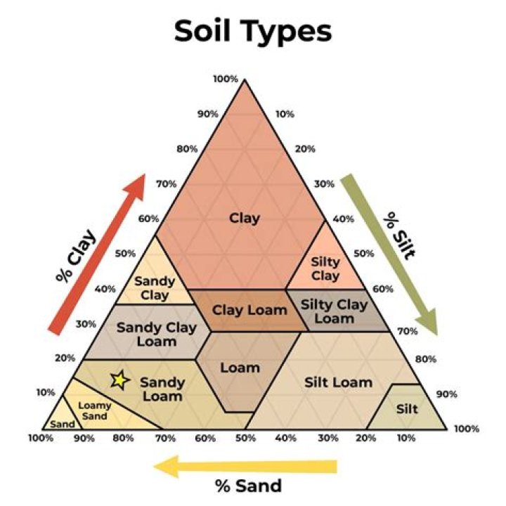Which of the following are the components of loamy soil?