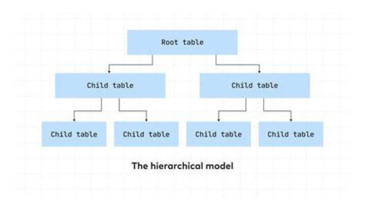 Who invented hierarchical data model?